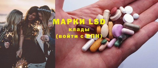 шишки Снежногорск