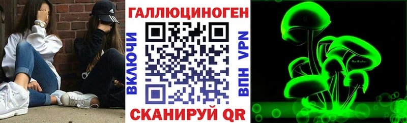 продажа наркотиков  Дмитров  kraken ССЫЛКА  darknet телеграм  Псилоцибиновые грибы Magic Shrooms 