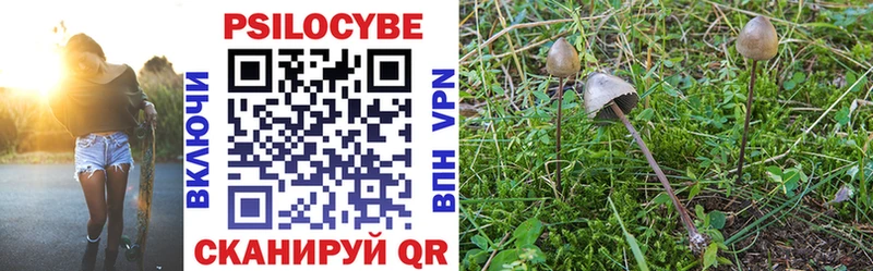 Псилоцибиновые грибы мухоморы Дмитров