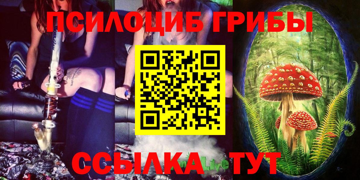 Дмитров  Псилоцибиновые грибы прущие грибы  Вход с VPN 